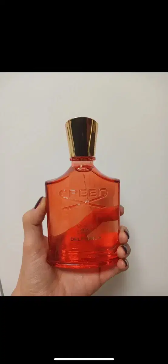 택포  크리드 델피던스 100ml edp 미개봉새상품